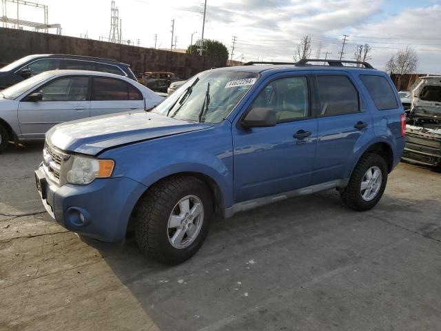 Obraz 2010 FORD ESCAPE XLT 2010