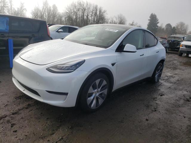 Obraz 2021 TESLA MODEL Y  2021
