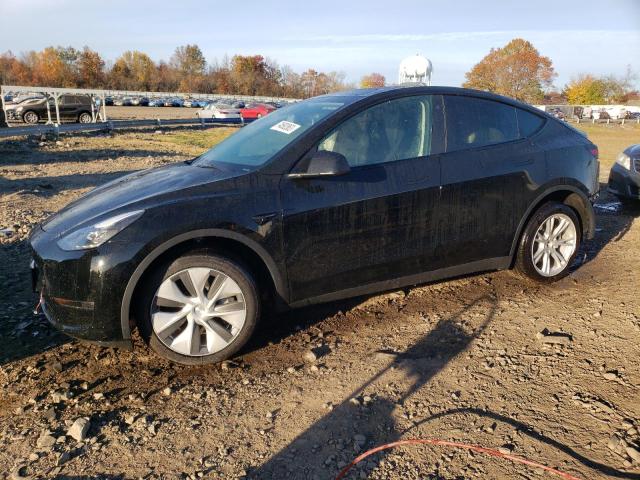 2023 TESLA MODEL Y  2023 image