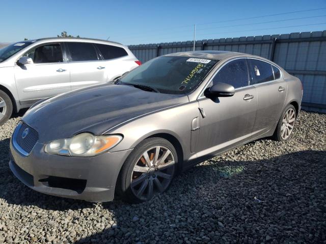 2010 JAGUAR XF LUXURY 2010 image