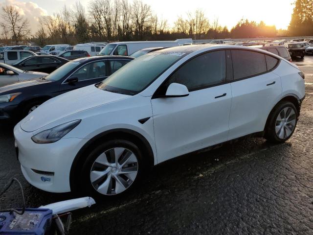 Obraz 2021 TESLA MODEL Y  2021