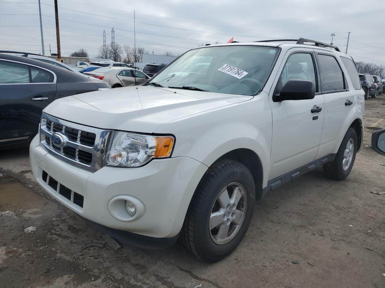 Obraz 2011 FORD ESCAPE XLT 2011