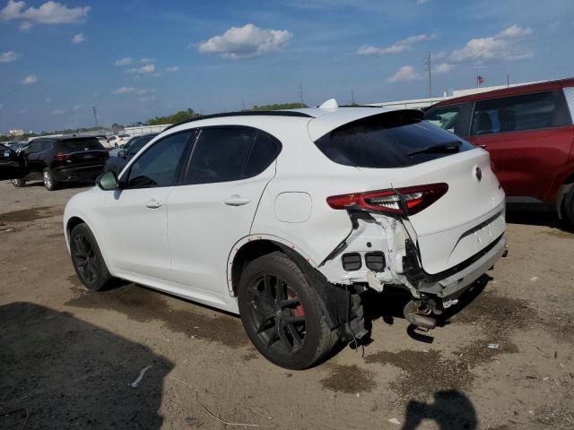 Obraz 2 z 2020 ALFA ROMEO STELVIO  2020 z VIN ZASPAJANXL7C89192
