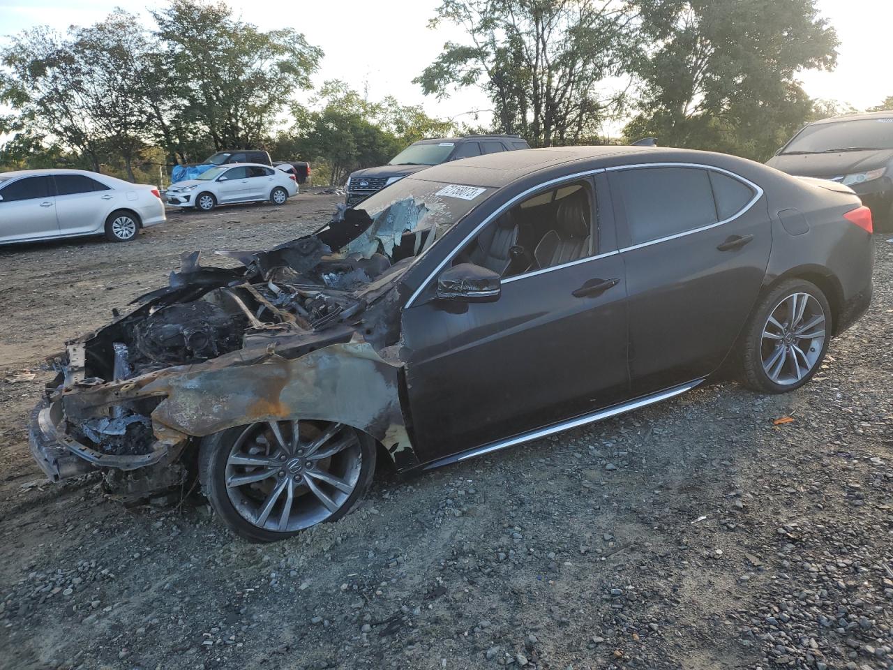 Изображение 2019 ACURA TLX TECHNOLOGY 2019