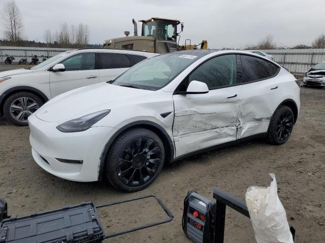 Obraz 2023 TESLA MODEL Y  2023
