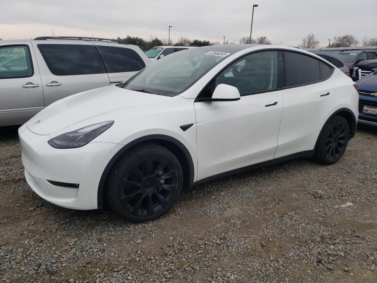 Obraz 2023 TESLA MODEL Y  2023