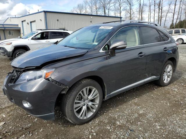 2010 LEXUS RX 450 2010 image