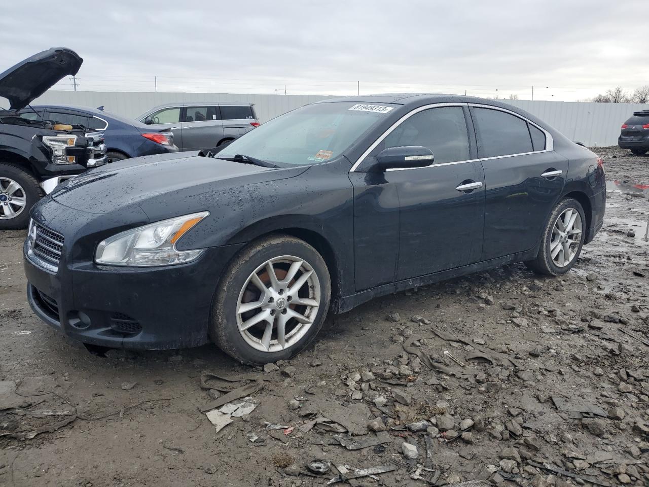 Изображение 1 2009 NISSAN MAXIMA S 2009 с VIN 1N4AA51E59C828846