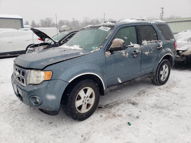 2010 FORD ESCAPE XLT 2010 image