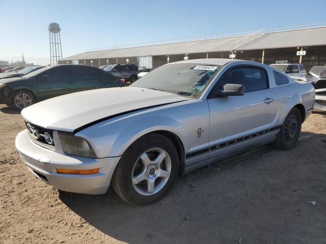 2007 FORD MUSTANG  2007 image