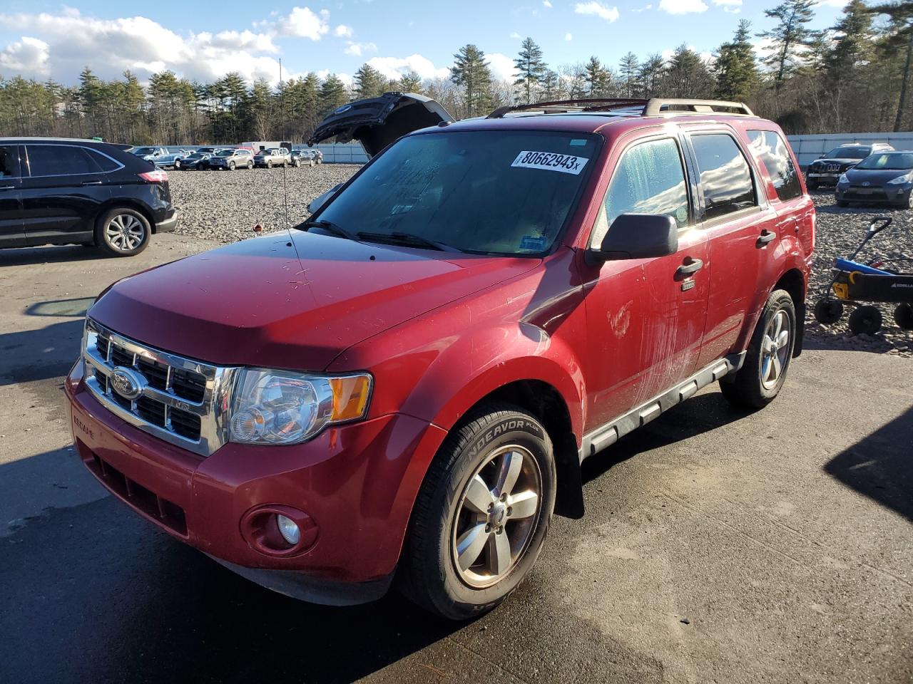 Изображение 2011 FORD ESCAPE XLT 2011