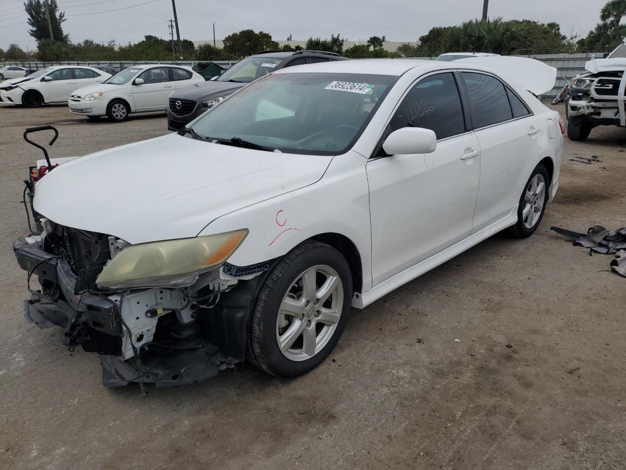 2009 TOYOTA CAMRY BASE 2009 image