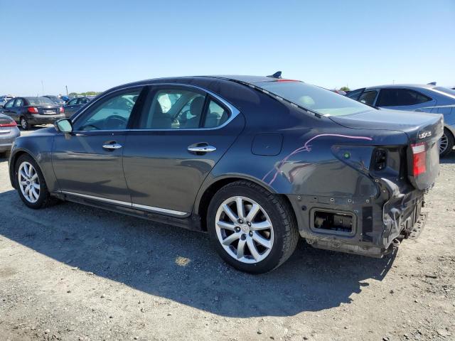 Image 2 of 2009 LEXUS LS 460 2009 with VIN JTHBL46F595091106
