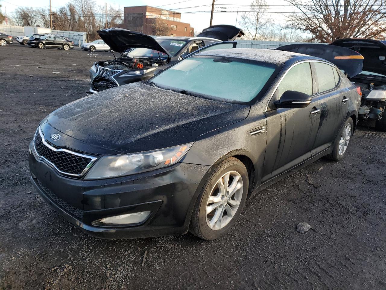 Изображение 1 2013 KIA OPTIMA EX 2013 с VIN 5XXGN4A70DG229592