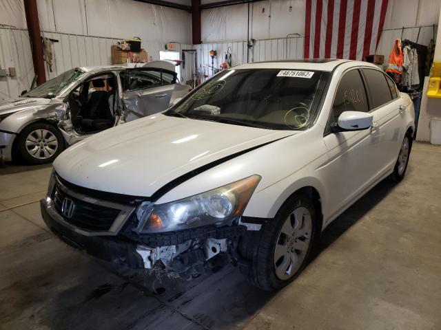 Изображение 2 2008 HONDA ACCORD EXL 2008 с VIN 1HGCP36888A034461