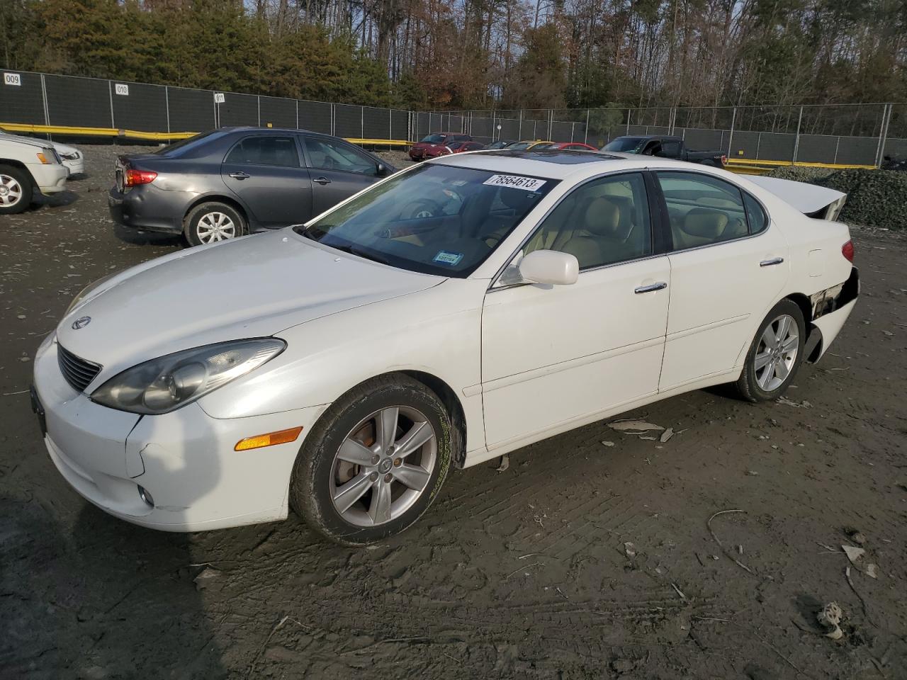 2005 LEXUS ES 330 2005 image