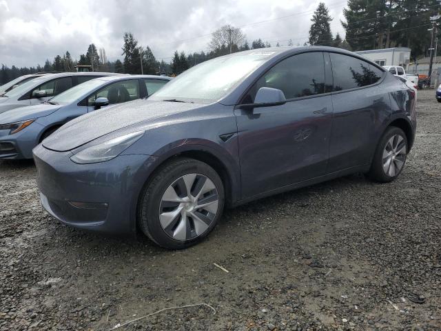 2023 TESLA MODEL Y  2023 image