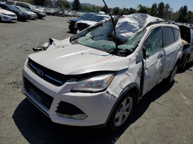2016 FORD ESCAPE SE 2016 image