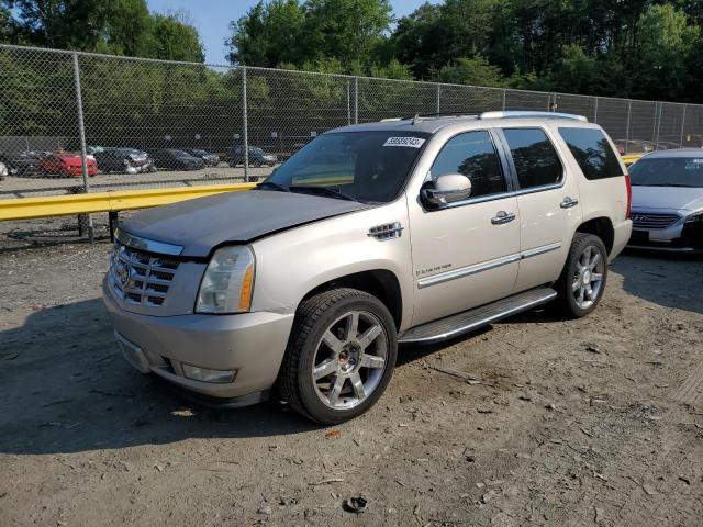 2007 CADILLAC ESCALADE LUXURY 2007 image