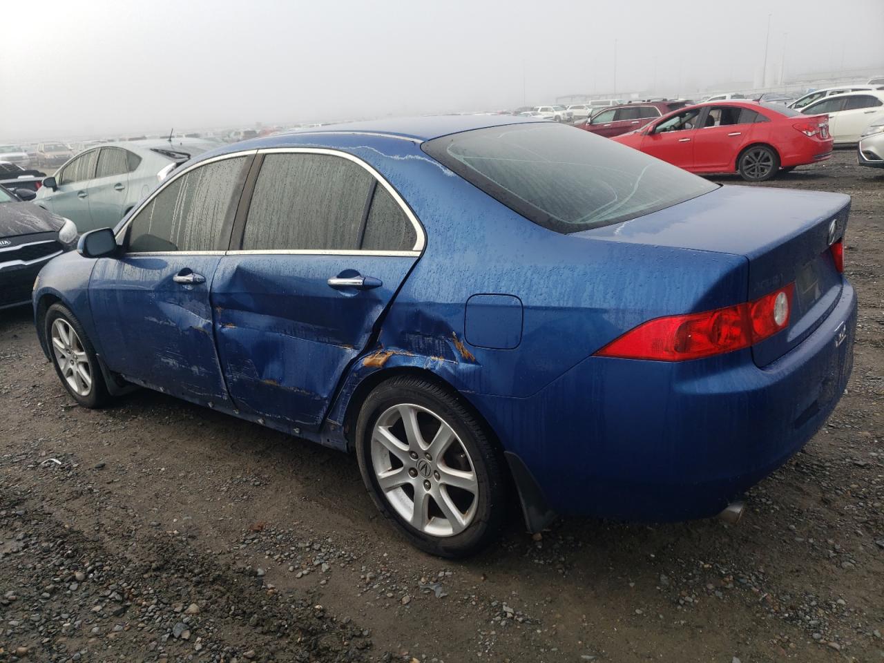 Image 2 of 2004 ACURA TSX  2004 with VIN JH4CL96824C022302