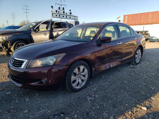 Image 1 of 2010 HONDA ACCORD EXL 2010 with VIN 5KBCP3F85AB018036