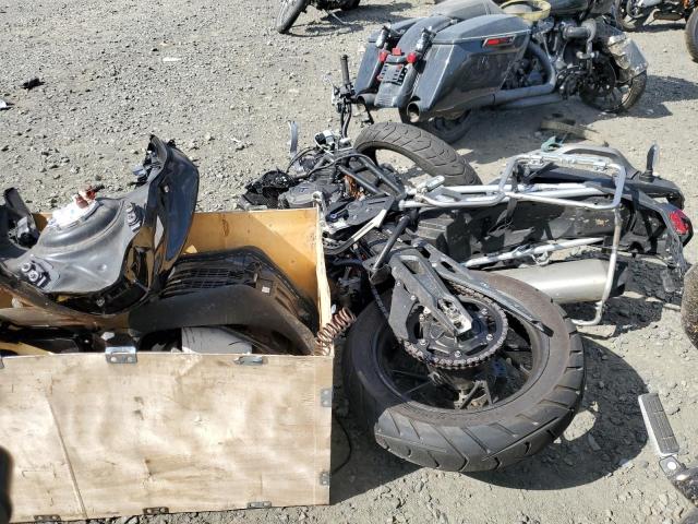 Image 3 of 2023 TRIUMPH MOTORCYCLE TIGER 900 GT PRO 2023 with VIN SMTE64DF7PTBF5261