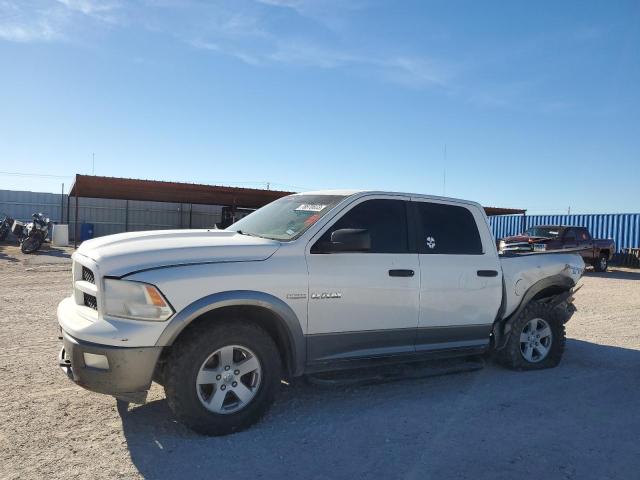 Image 1 of 2009 DODGE RAM 1500  2009 with VIN 1D3HB13TX9S808938