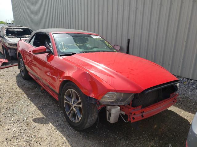 Obraz 2014 FORD MUSTANG  2014
