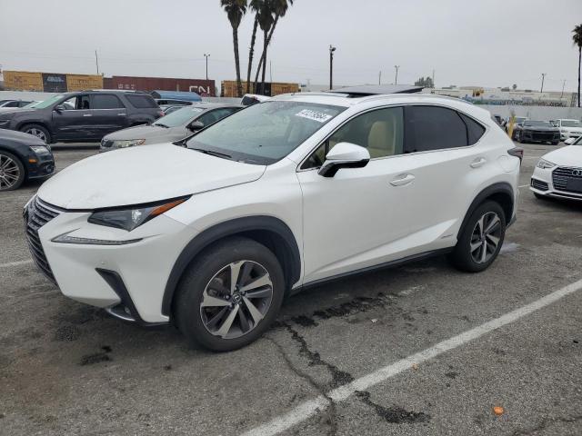 2020 LEXUS NX 300H 2020 image