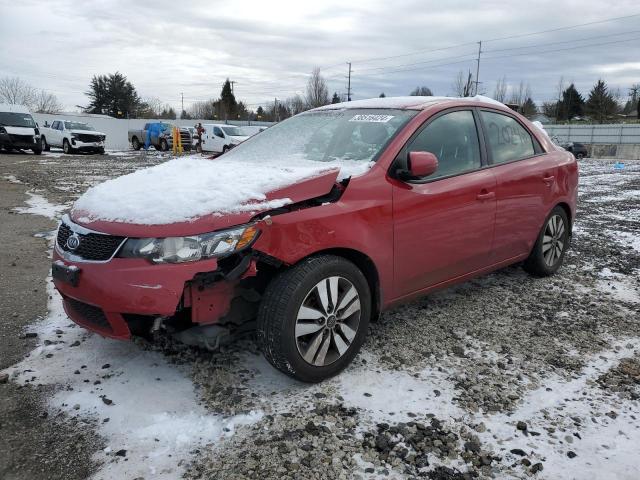 2013 KIA FORTE EX 2013 image