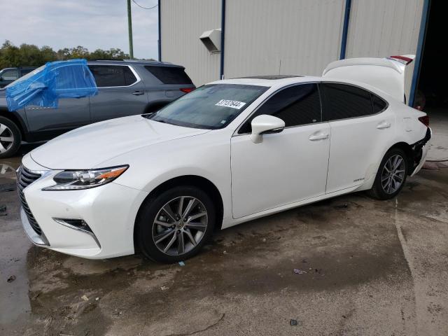Obraz 2016 LEXUS ES 300H 2016