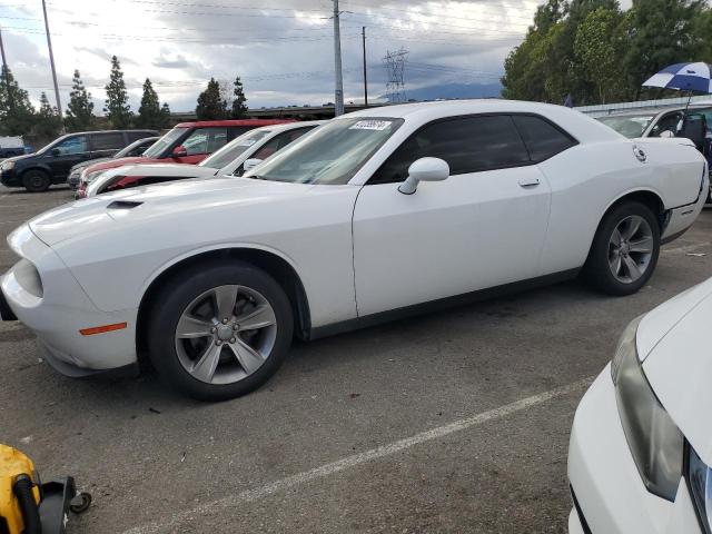 2019 DODGE CHALLENGER SXT 2019 image