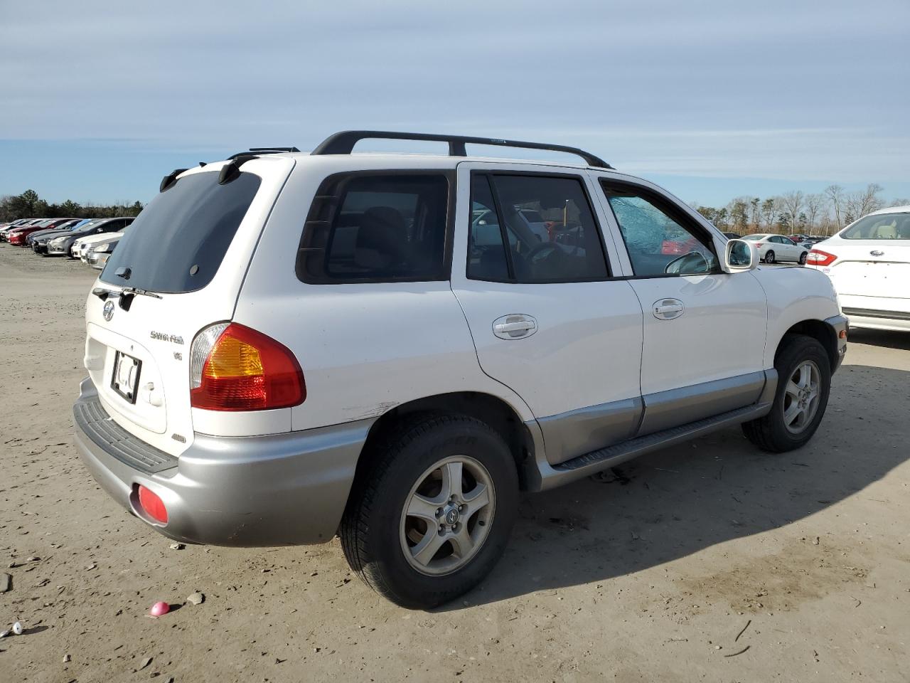 Obraz 3 z 2004 HYUNDAI SANTA FE GLS 2004 z VIN KM8SC73D04U849501