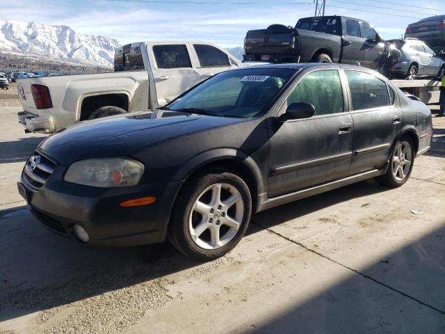 2002 NISSAN MAXIMA GLE 2002 image