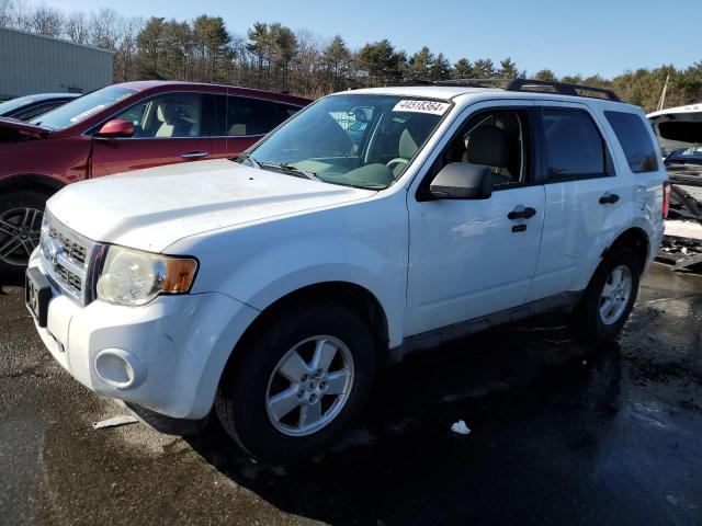 Obraz 2009 FORD ESCAPE XLT 2009