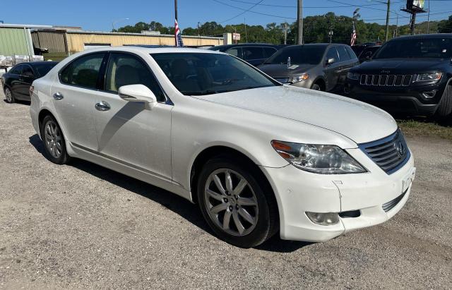 2010 LEXUS LS 460 2010 image