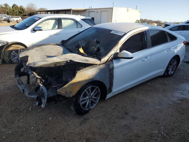 Obraz 2016 HYUNDAI SONATA SE 2016