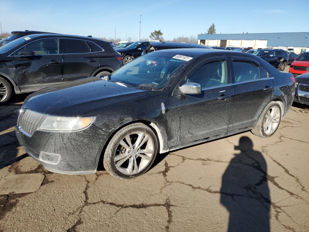 Obraz 2010 LINCOLN MKZ  2010