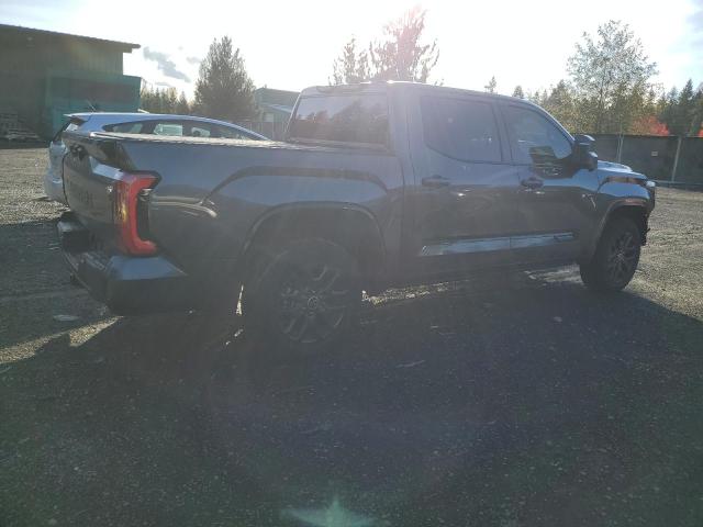 Image 3 of 2022 TOYOTA TUNDRA CREWMAX PLATINUM 2022 with VIN 5TFNA5DBXNX052021