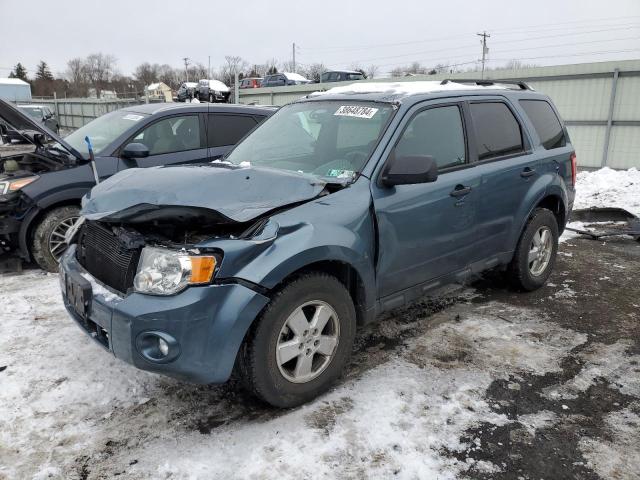 2010 FORD ESCAPE XLT 2010 image