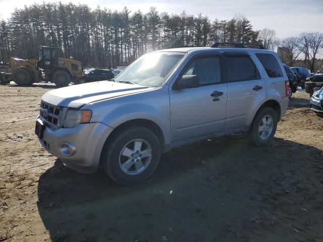2011 FORD ESCAPE XLT 2011 image
