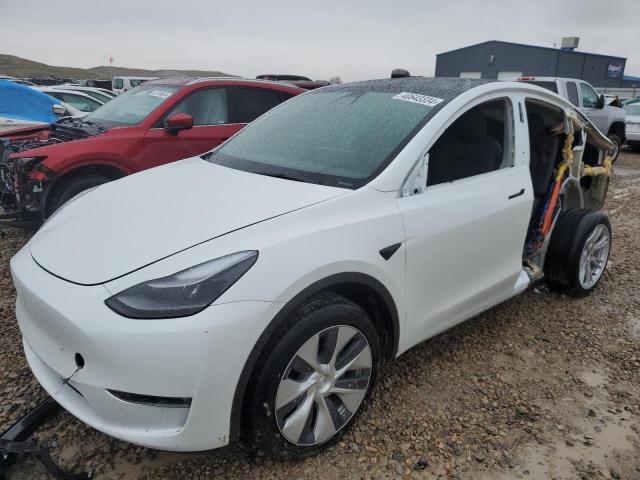 2023 TESLA MODEL Y  2023 image