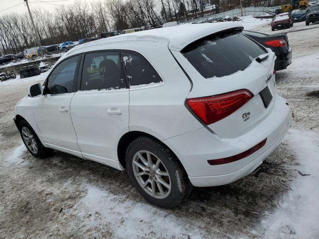 Image 2 of 2010 AUDI Q5 PREMIUM PLUS 2010 with VIN WA1LKAFP6AA043068