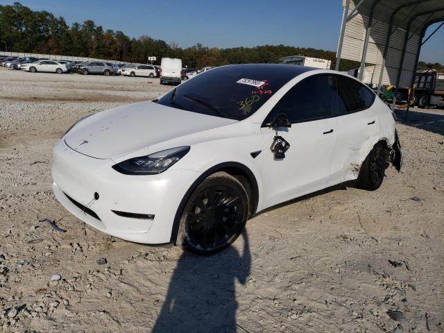 2022 TESLA MODEL Y  2022 image