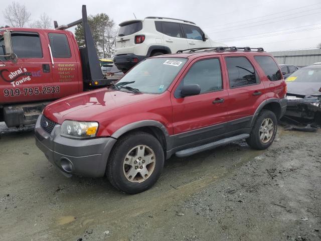 2005 FORD ESCAPE XLT 2005 image