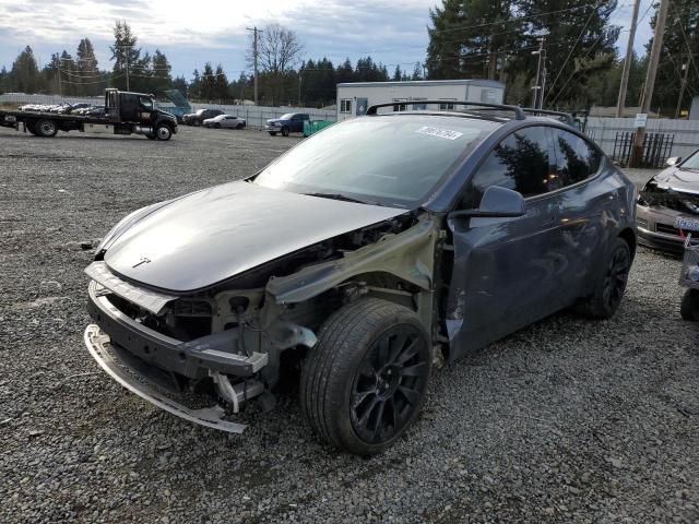 Obraz 2023 TESLA MODEL Y  2023