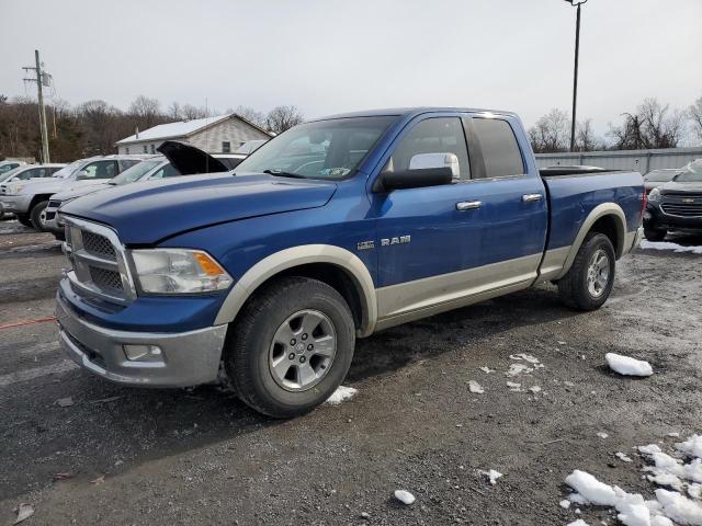 Изображение 1 2010 DODGE RAM 1500  2010 с VIN 1D7RV1GT9AS176183