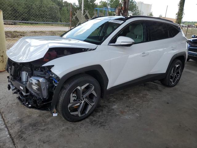 2024 HYUNDAI TUCSON LIMITED 2024 image