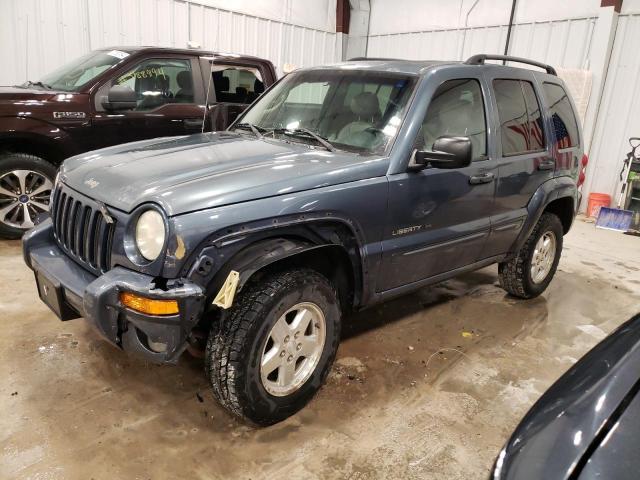 2002 JEEP LIBERTY LIMITED 2002 image