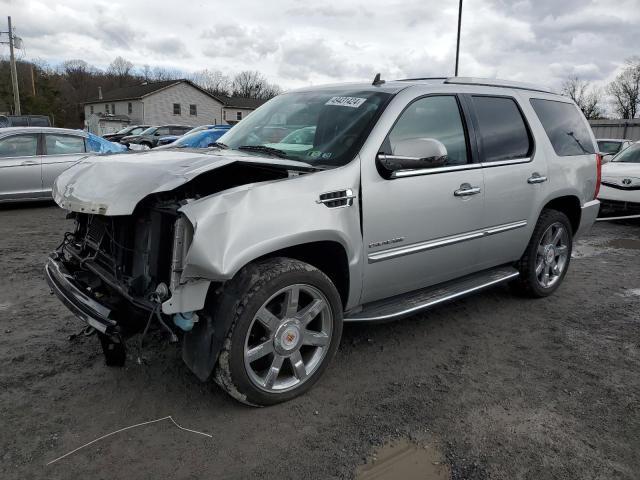 Obraz 2011 CADILLAC ESCALADE LUXURY 2011